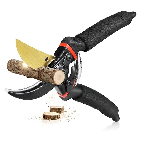 JD FRESH 8 Inch Heavy Duty Bypass Plant Cutter for Garden, Pruners for Plants Cutting Gardening Scissors with Safety Lock, Pruning Shears for Indoor Outdoor Plants, Flower, Herb, S — Linkbiz SmartDeal's