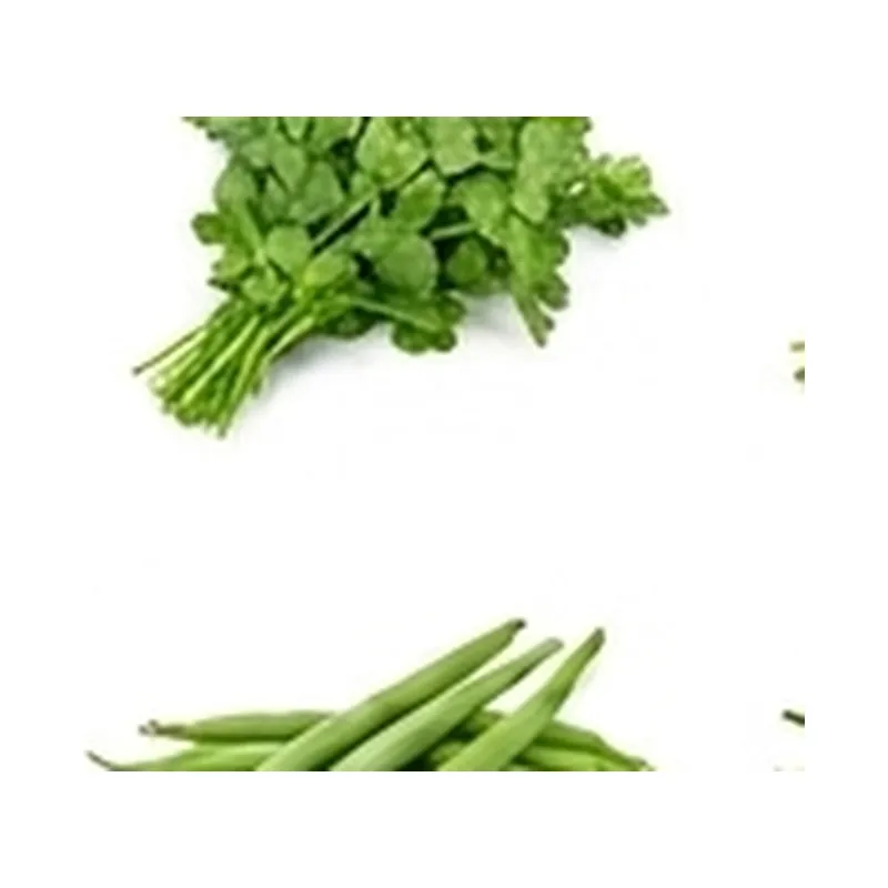 Ginger — Vegitable Shop Demo