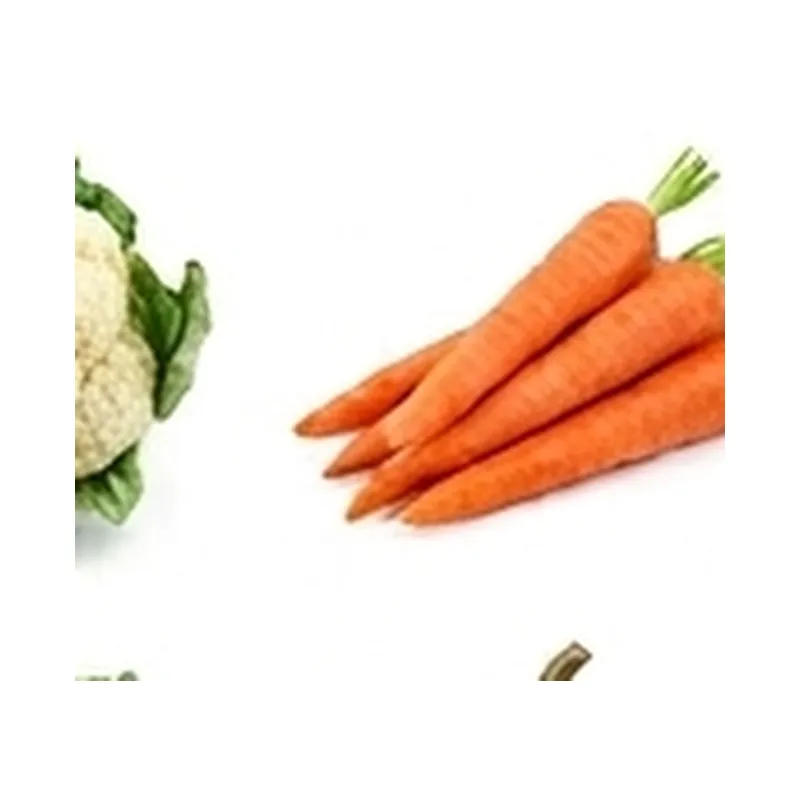 Carrot — Vegitable Shop Demo