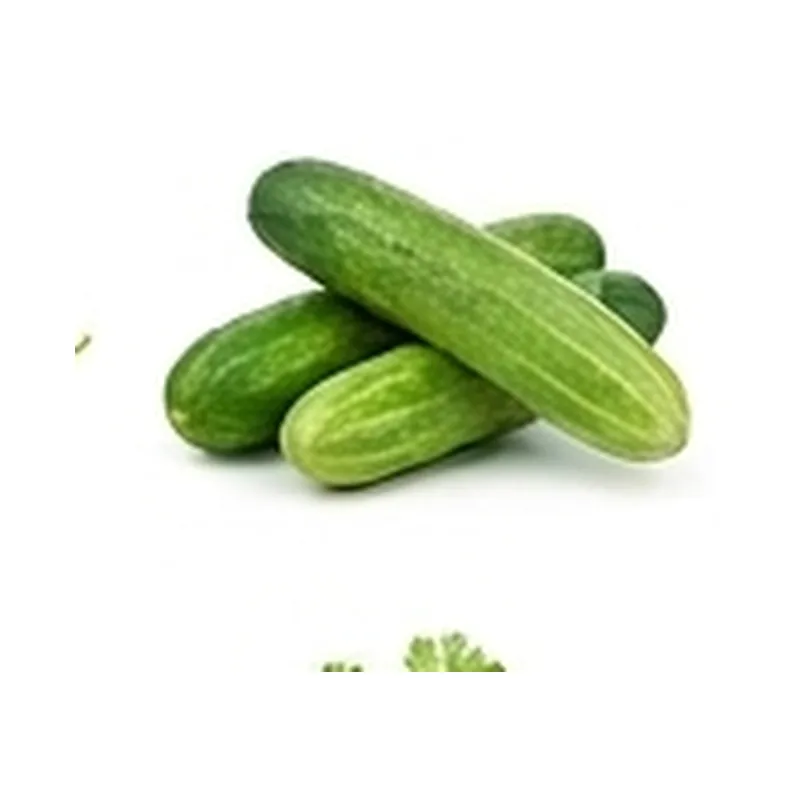 Cucumber — Vegitable Shop Demo