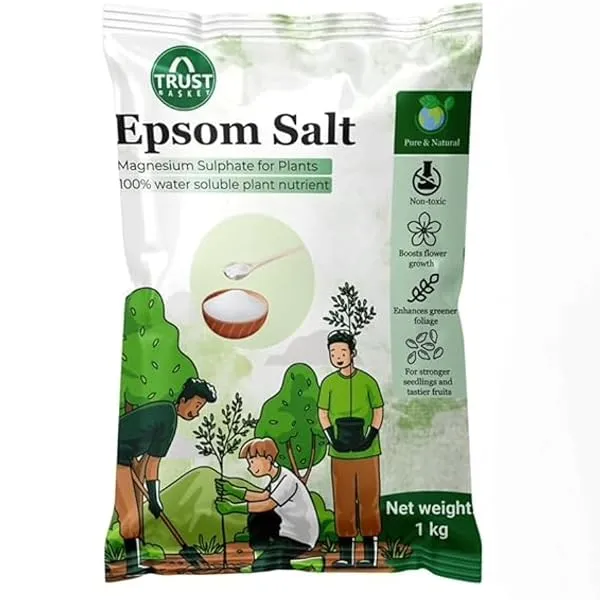 TrustBasket Epsom Salt for plants (1 KG) | Contains Magnesium Sulfur | Water Soluble Plant Fertilizer | Prevents yellowing of leaves | Plant growth supplement — Linkbiz SmartDeal's