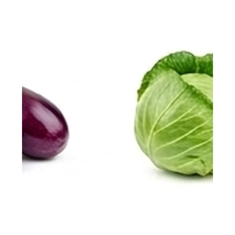 Cabbage — Vegitable Shop Demo