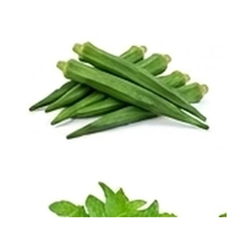Bottle Gourd — Vegitable Shop Demo