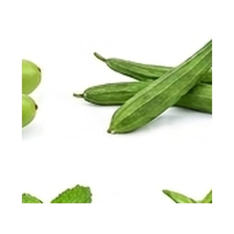 Bitter Gourd — Vegitable Shop Demo