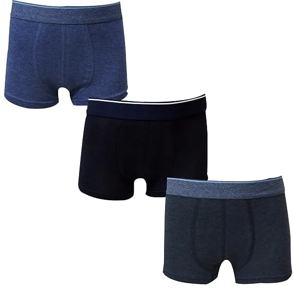 Real Basics Boys Cotton Multicolour Briefs — Linkbiz SmartDeal's
