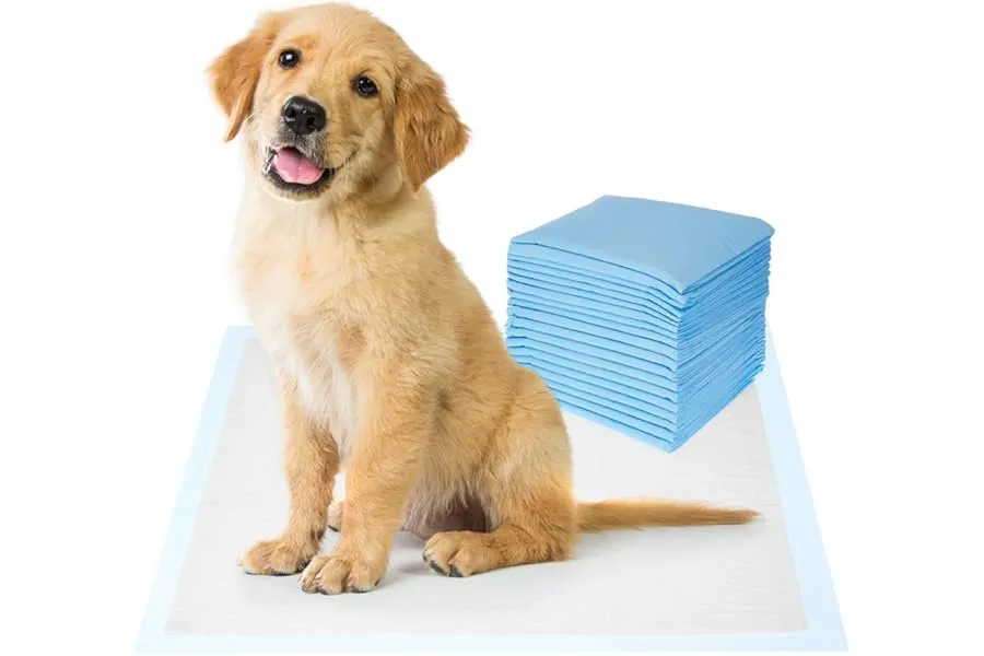 Amazon Basics Dog And Puppy Pee Pads | Pack Of 20 | 24 X 23 Inches | Leak-Proof, Quick-Dry Desi — Linkbiz SmartDeal's