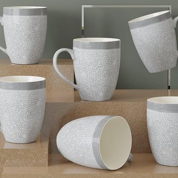 The Earth Store Grey Fizz Coffee Mugs Set of 6 Ceramic Mugs to Gift to Best Friend, Tea Mugs, Microwave Safe Coffee Mugs, Ceramic Tea Cups — Linkbiz SmartDeal's