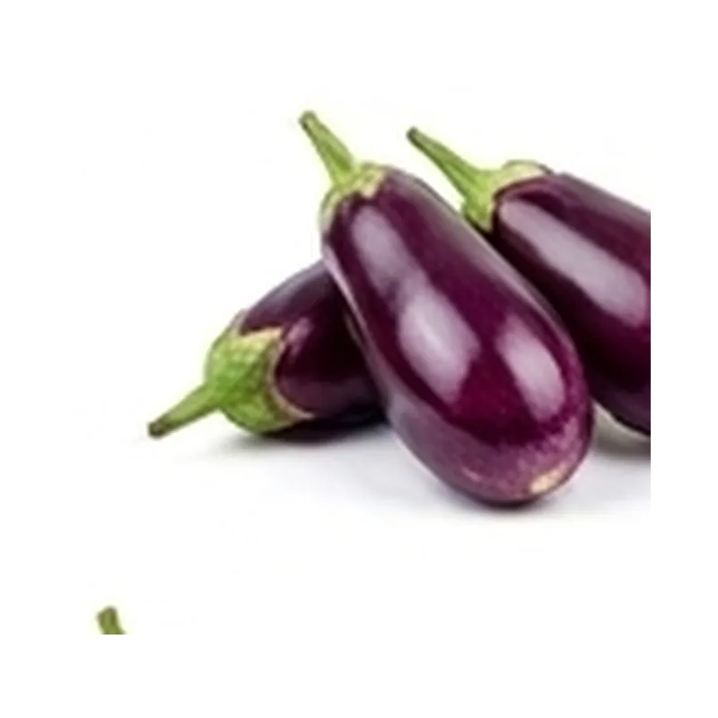 Brinjal — Vegitable Shop Demo