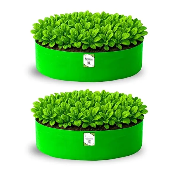 ORGANIC BAZAR 24x6 Leafy Grow Bag for Terrace Garden, Premium HDPE 260 GSM Green Plant Bags for Leafy Vegetables (Pack of 2) — Linkbiz SmartDeal's