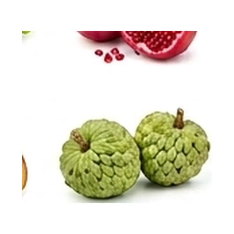 Jamun — Vegitable Shop Demo