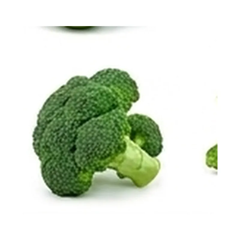 Zucchini — Vegitable Shop Demo