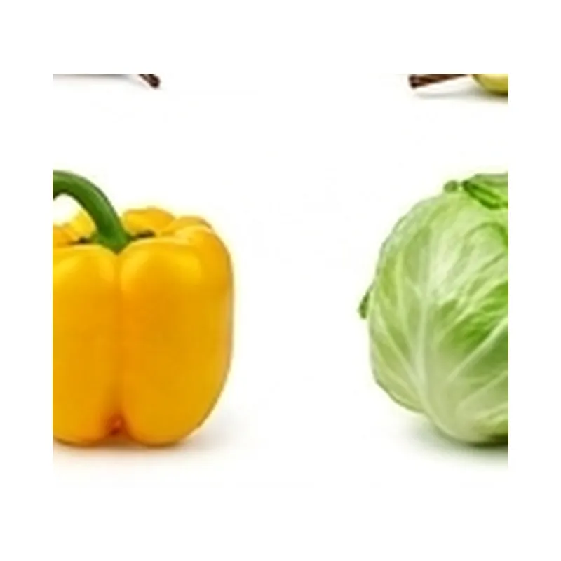Iceberg Lettuce