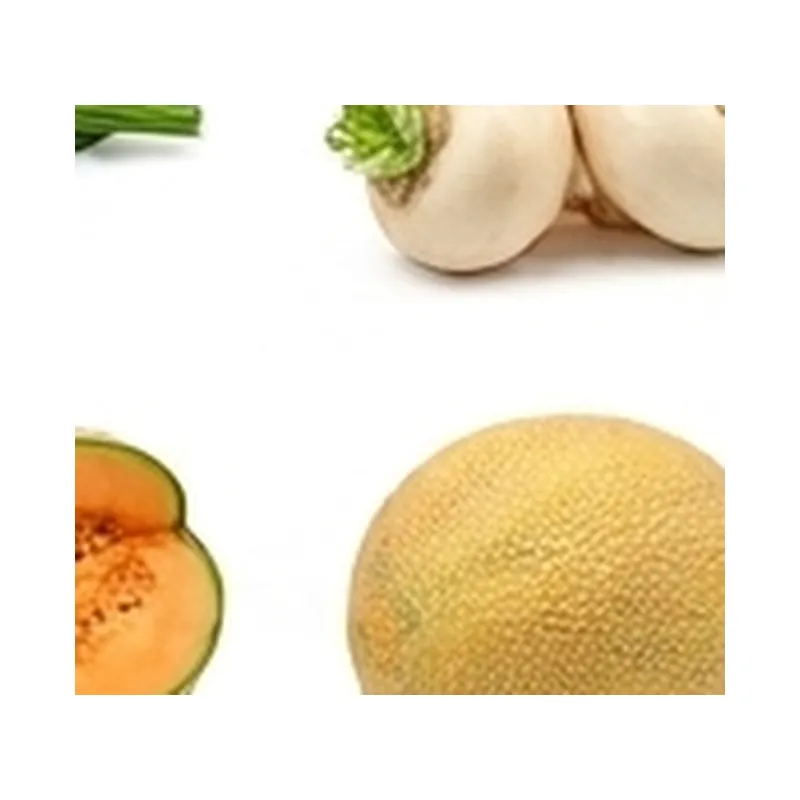 Muskmelon — Vegitable Shop Demo