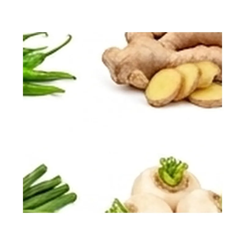 Drumstick — Vegitable Shop Demo