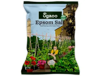 Ugaoo Epsom Salt for Plants 1 Kg | Magnesium Sulphate Fertilizer for Indoor & Outdoor Plants |