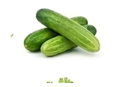 Cucumber