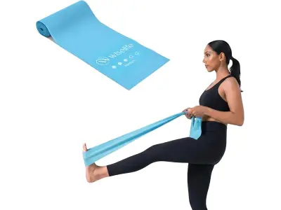 Wiselife Professional Latex Resistance Thera Band 100% Natural Latex Resistance Band | for Warm
