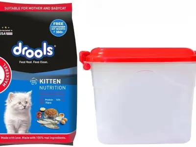 Drools Kitten Dry Cat Food, Mackerel Flavour 1 kg with Free Container Pack