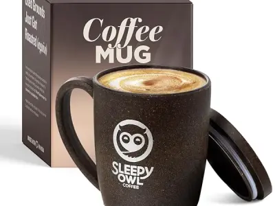 Sleepy Owl Coffee Mug with Lid | Crafted from Used Coffee Grounds | Eco-Friendly & Sustainable Cup | Microwave Safe | Spill Proof | Travel Friendly | Office | Home | Premium Gift |