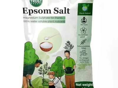 TrustBasket Epsom Salt for plants (1 KG) | Contains Magnesium Sulfur | Water Soluble Plant Fertilizer | Prevents yellowing of leaves | Plant growth supplement