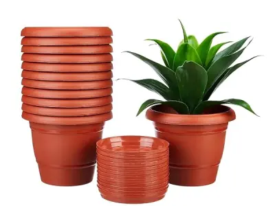 Amazon Brand - Solimo Round Pots for Plants with Bottom Tray|Lightweight|Indoor and Outdoor Flower Pot for Home/Office/Table/Garden/Balcony Decoration|8 inch (Set of 12), Brown