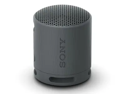 Sony SRS-XB100 Portable Bluetooth Speaker, Extra Bass, IP67 Waterproof & Dustproof, 16 Hr Battery, Hands-Free Calling, Strap – Black