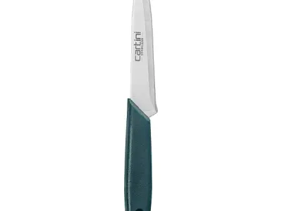 Godrej Cartini Easy Chopping Knife (Teal, Stainless Steel)