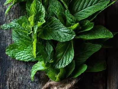 Mint Leaves