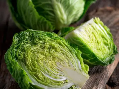 cabbage