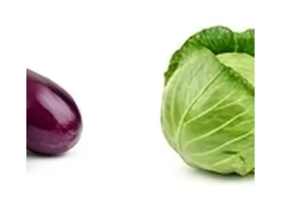 Cabbage