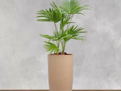 BonKaso 18 inch Beige Flower Pot – Tall, Durable & Lightweight Polymer Tower Planter for Indoor & Outdoor Use: Home, Office, Garden & Balcony (Gamla/Gamale)