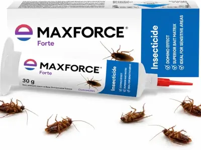Maxforce Forte 30gm Cockroach Gel for Professional Pest Control | Anti Roach Gel | Cockroach Ki