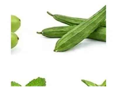 Bitter Gourd