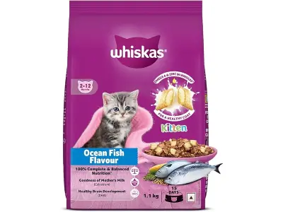 Whiskas Junior Mother Cat & Kitten (2-12 Months) Dry Cat Food, Ocean Fish Flavour, 1.1 kg, Cont