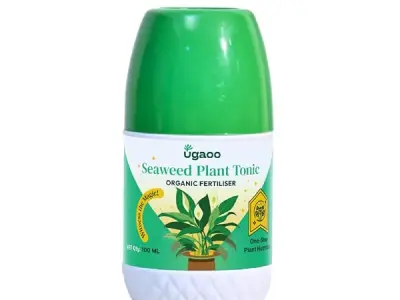 UGAOO Liquid Seaweed Fertilizer Concentrate for Plant - Growth Booster & Plants Tonic (250 ml)