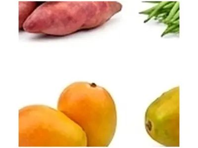 Mango
