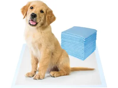 Amazon Basics Dog And Puppy Pee Pads | Pack Of 20 | 24 X 23 Inches | Leak-Proof, Quick-Dry Desi