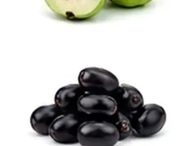 Litchi