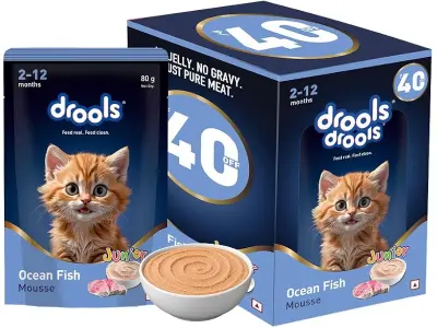Drools Kitten Wet Mousse 80g Pack of 5, 400g | Ocean Fish Flavour | Rich in Protein, Hydrating