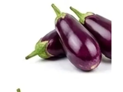 Brinjal