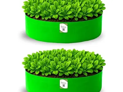 ORGANIC BAZAR 24x6 Leafy Grow Bag for Terrace Garden, Premium HDPE 260 GSM Green Plant Bags for Leafy Vegetables (Pack of 2)