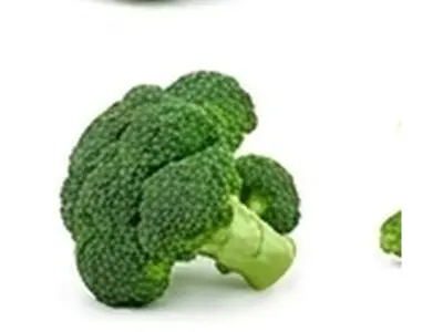 Zucchini
