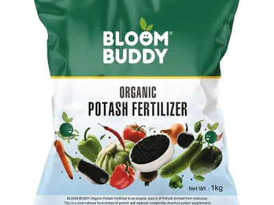 Bloom Buddy Organic Potash Fertilizer – 1kg | Boosts Root, Flower & Fruit Growth | Slow-Release Natural Potassium for Home Garden, Terrace & Indoor Plants | Safe, Eco-Friendly Soil