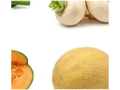 Muskmelon
