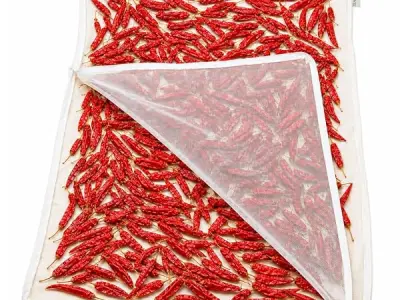 ZEN HOME Cotton Sun Drying Cloth with Net,Large Size,75x100cm,Pack of 1 | Cotton Fabric with Protective Net Cover and zipper for Papad, Millets, Rice & Spices, Bird Protection