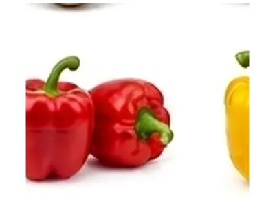 Yellow Bell Pepper